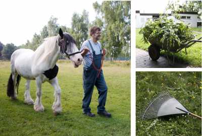 Eine Zusammenstellung von Bildern des Rosenhofs: Pferde und Gartenarbeit 